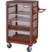 Armoire mobile en treillis, Acier, 22 pi³, Rouge Les Distributions ICE