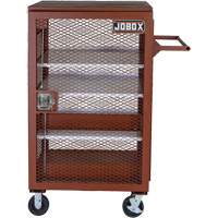 Armoire mobile en treillis, Acier, 22 pi³, Rouge Les Distributions ICE