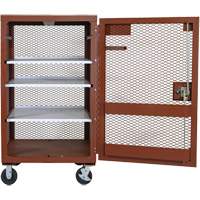 Armoire mobile en treillis, Acier, 22 pi³, Rouge Les Distributions ICE