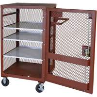 Armoire mobile en treillis, Acier, 22 pi³, Rouge Les Distributions ICE