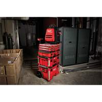 Packout Backpack, 15-3/4" L x 11-4/5" W, Black/Red, Ballistic Les Distributions ICE