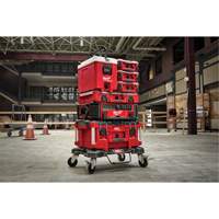Glaci&egrave;re compacte Packout, 16 pintes Capacit&eacute; Les Distributions ICE