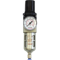 Modular Filter/Regulator, 1/2" NPTF, 150 PSI, 1.6 fl.oz. Capacity Les Distributions ICE