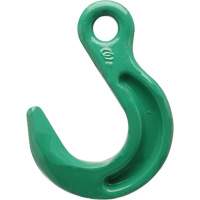 Cam-Alloy&reg; Eye Foundry Hook Les Distributions ICE