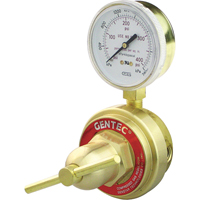 Medium-to-Heavy-Duty Pipeline Regulator, Propane, 1/4" NPT(F) Port Inlet Les Distributions ICE