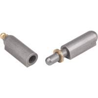 Weld-On Hinge, 0.512" Dia. x 3.15" L, Mild Steel w/Fixed Steel Pin Les Distributions ICE