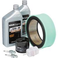 Kohler&reg; Tune Up Kit for Engine Maintenance Les Distributions ICE