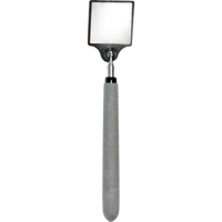 Acrylic Inspection Mirror, Square, 2" L x 2" W, Telescopic Les Distributions ICE