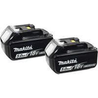 Blocs-piles, Lithium-ion, 18 V, 5,0 A Les Distributions ICE