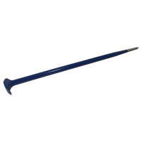 Rolling Head Pry Bar, 11/16" W x 20" L Les Distributions ICE