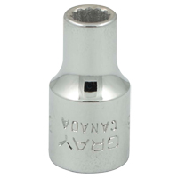 Socket, 3/16", 1/4" Drive, 12 Points Les Distributions ICE