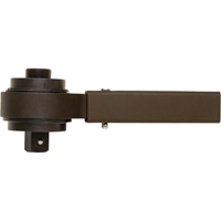 Multiplicateur de couple, 1/2" Couple d'entr&eacute;e, 1" Couple de sortie, 18,5:1 Ratio Les Distributions ICE