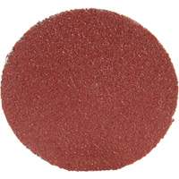 Disque 361F Roloc, 1-1/2" dia., Grain P100, Oxyde d'aluminium Les Distributions ICE