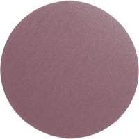 Meule en toile PSA 348D, dia 12", Grain 60, Oxyde d'aluminium, Poids Les Distributions ICE