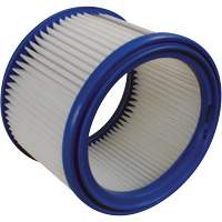 Vacuum Filter, Cartridge/Hepa, Fits 1 US gal. Les Distributions ICE