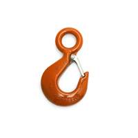 Hoist Hook Les Distributions ICE