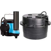 Pompe de puisard Drainosaur, 29 gal./min, 115 V, 9 A, 1/3 CV Les Distributions ICE