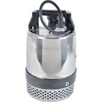 Pompe utilitaire s&eacute;rie FLS/FS, 1 CV, 80 gal./min, 115 V, 10 A Les Distributions ICE