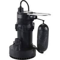 Pompe de puisard de s&eacute;rie 5.5, 35 gal./min, 115 V, 3,5 A, 1/4 CV Les Distributions ICE