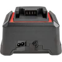 Chargeur de batterie 2,5 Ah et 5,0 Ah, 120 V, Lithium-ion Les Distributions ICE
