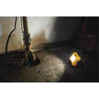 12V/20V Max Compact Task Light, LED, 2000 Lumens Les Distributions ICE