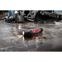 USB Compatible Compact Flashlight, LED, 800 Lumens, Rechargeable Batteries Les Distributions ICE