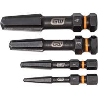 Jeu d'extracteur de vis Bolt Biter, Acier rapide, 4 Morceaux Les Distributions ICE
