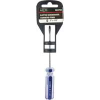 Tournevis &agrave; fente bleu transparent avec bandes , Tige de 1/8", Ronde, Prise en Plastique Les Distributions ICE