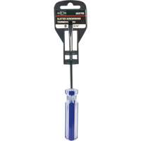 Tournevis &agrave; fente bleu transparent avec bandes, Tige de 3/16", Ronde, Prise en Plastique Les Distributions ICE