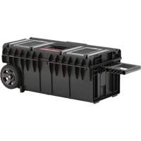Coffre &agrave; outils roulant long ARX, 31-1/5" x 15-1/5" x 12-7/10", Noir Les Distributions ICE
