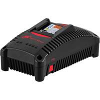 IQV&reg;40 Battery Charger, 40 V, Lithium-Ion Les Distributions ICE