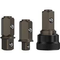 Replacement 1/4" & 3/8" Anvil Set for DCF500 Sealed Head Ratchet Les Distributions ICE