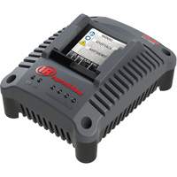 IQV20 Compact Battery Charger, 20 V, Lithium-Ion Les Distributions ICE