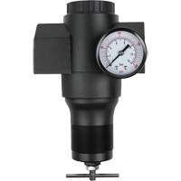 R&eacute;gulateur en aluminium, 1-1/2" NPT, PSI max. de 300 psi, Canalisation Les Distributions ICE