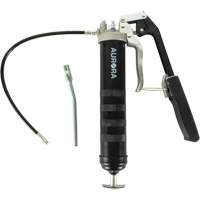 Dual Grease Gun Pistol with Lever Handle Les Distributions ICE