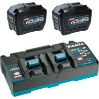 Ensemble de d&eacute;part XGT avec chargeur rapide &agrave; deux ports et deux batteries de 8?Ah, 40 V, Lithium-ion Les Distributions ICE
