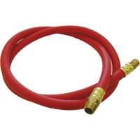 Hose Reel Connecting Hose, Air, EPDM Rubber, 1/2" dia. x 5', 300 psi, 1/2 NPT Les Distributions ICE