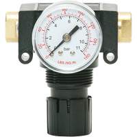 D&eacute;tendeur &agrave; piston en ac&eacute;tal MODULAIR 200, 1/4" NPT, PSI max. de 150 psi, Canalisation/Modulaire Les Distributions ICE