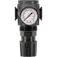 D&eacute;tendeur &agrave; diaphragme en zinc MODULAIR 300, 3/8" NPT, PSI max. de 300 psi, Canalisation/Modulaire Les Distributions ICE