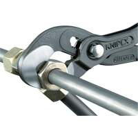Pince Raptor, 10" Les Distributions ICE