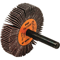 Flap Wheels-Coolcut Flap Wheels, Aluminum Oxide, 80 Grit, 2" x 3/8" x 1/4" Les Distributions ICE