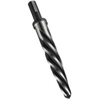 Car Reamer, 11/16", Spiral Flute, High Speed Steel, Straight Shank Les Distributions ICE