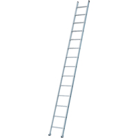 Industrial Heavy-Duty Extension/Straight Ladders, 8', Aluminum, 300 lbs., CSA Grade 1A Les Distributions ICE