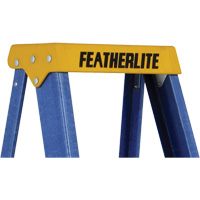 Industrial Duty Stepladders (6300 Series), 4', Fibreglass, 250 lbs. Capacity, Type 1 Les Distributions ICE