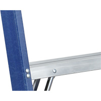 Industrial Duty Stepladders (6300 Series), 4', Fibreglass, 250 lbs. Capacity, Type 1 Les Distributions ICE