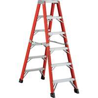 6600 AA Series Industrial Extra Heavy-Duty 2-Way Stepladders, Fibreglass, 375 lbs. Capacity, 4' Les Distributions ICE