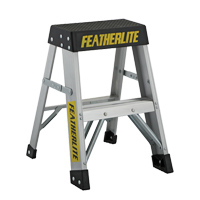 Industrial Extra Heavy-Duty Step Stool/Ladders, 2', Aluminum, 300 lbs. Capacity, Type 1A Les Distributions ICE