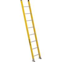 Industrial Extra Heavy-Duty Straight Ladders (5600 Series), 8', Fibreglass, 375 lbs., CSA Grade 1AA Les Distributions ICE