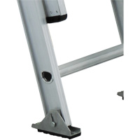 Industrial Heavy-Duty Extension Ladders (3200D Series), 300 lbs. Cap., 13' H, Grade 1A Les Distributions ICE