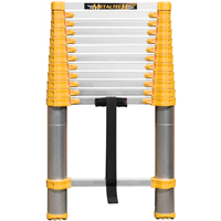 Telescopic Ladder, 3' - 12', Aluminum, 250 lbs. Capacity, Type 1 Les Distributions ICE